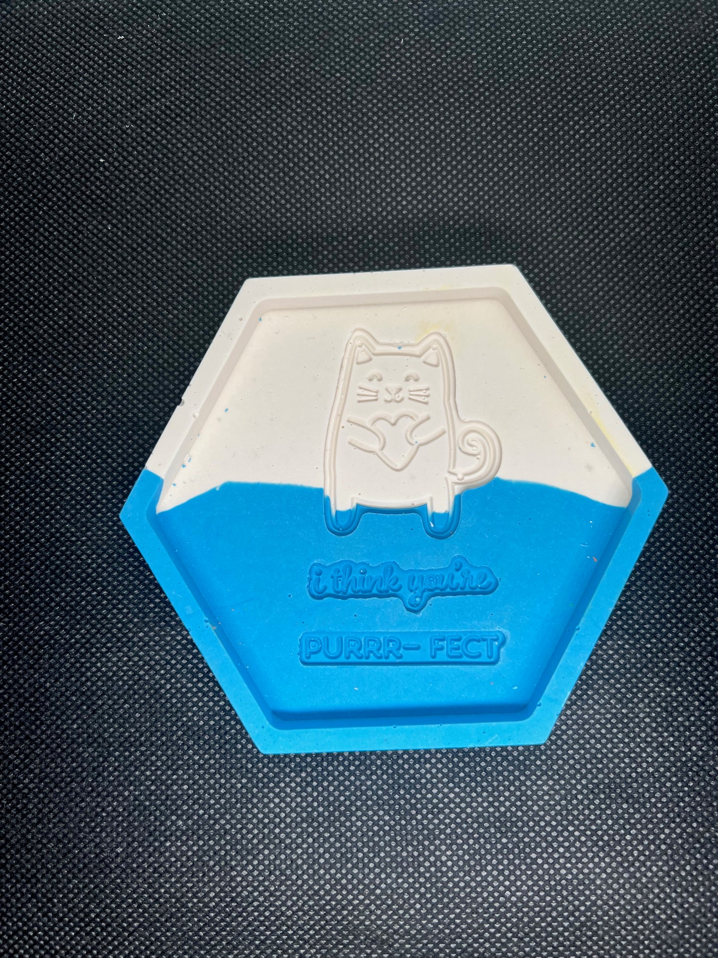 I Think You're PURRR-Fect Hexagon Coaster
