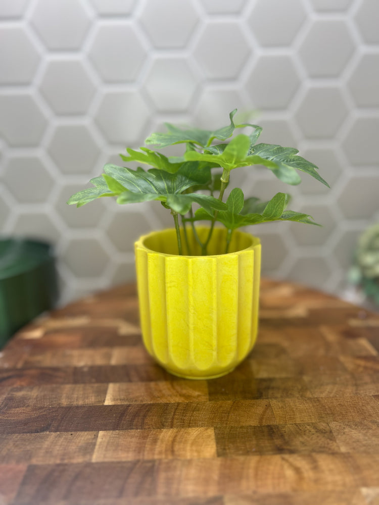Plant Pots