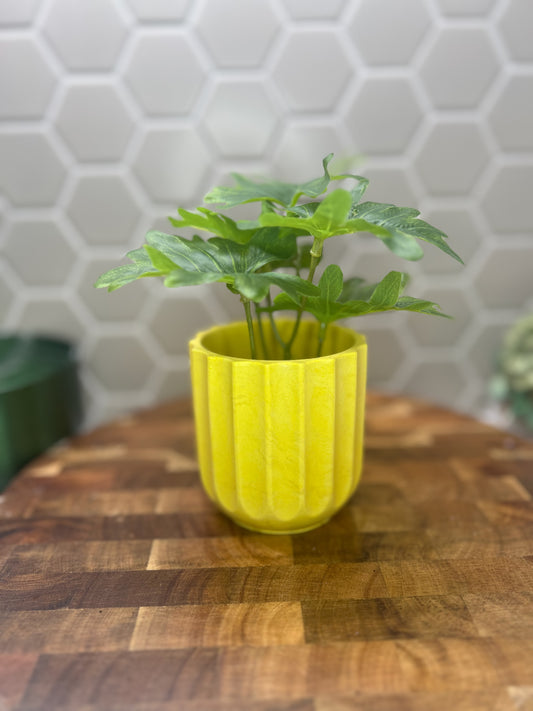 Sunshine Decorative Plant Pot / Holder